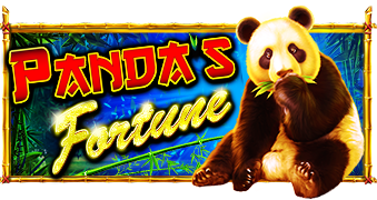 Pandas Fortune